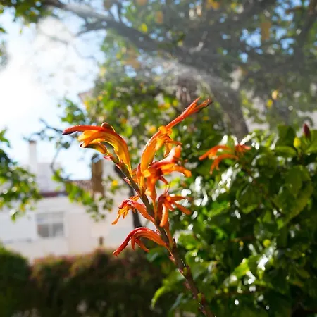 Flat With A Garden In Belem Apartmán
