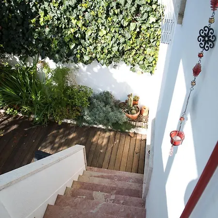 Flat With A Garden In Belem Apartment Lisbon