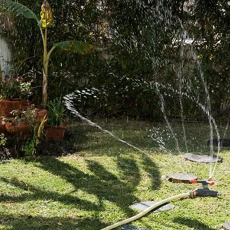 Flat With A Garden In Belem Apartment