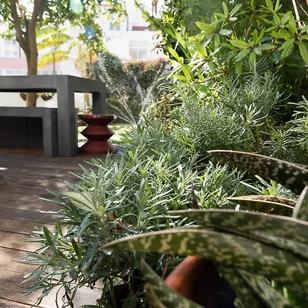 Flat With A Garden In Belem Daire Lisboa