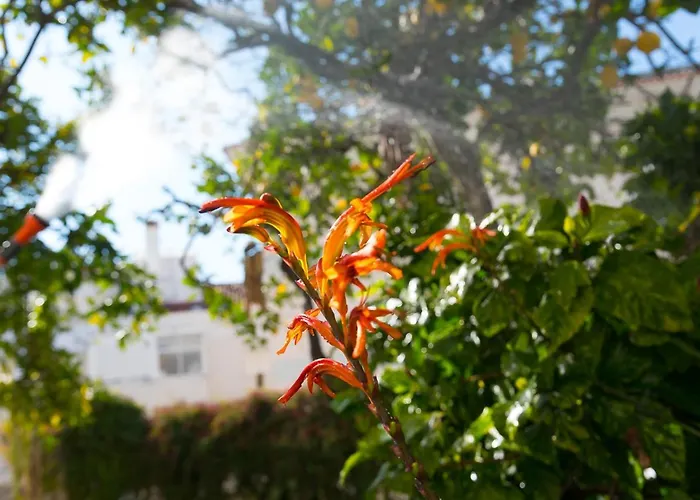 Flat With A Garden In Belem شقة