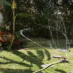 Flat With A Garden In Belem Daire