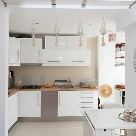 Apartment Flat With A Garden In Belem *