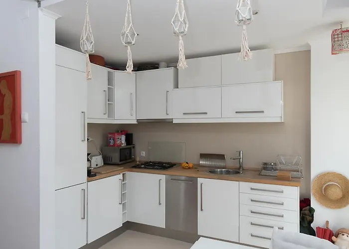 Apartment Flat With A Garden In Belem *