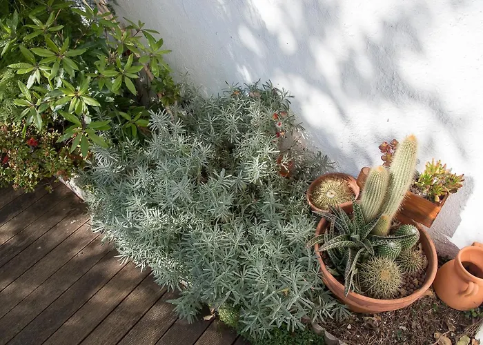 Apartment Flat With A Garden In Belem