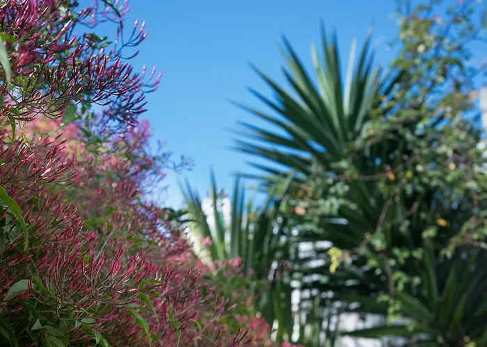 Flat With A Garden In Belem *
